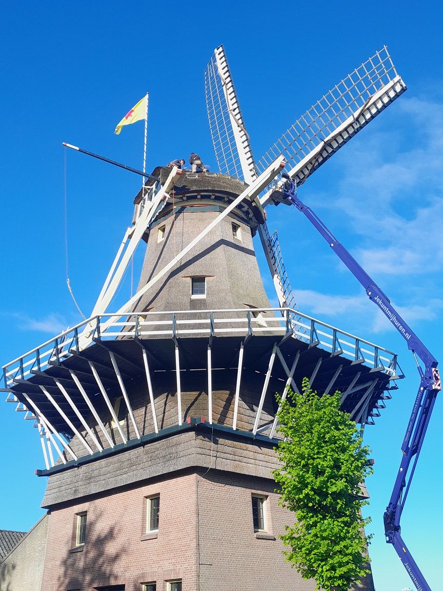 Rietdekker02