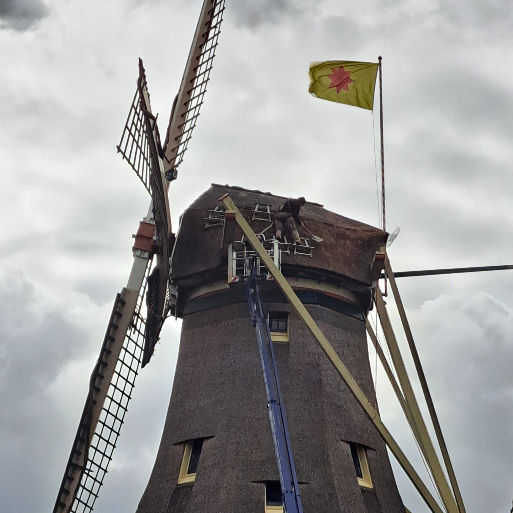 Rietdekker03
